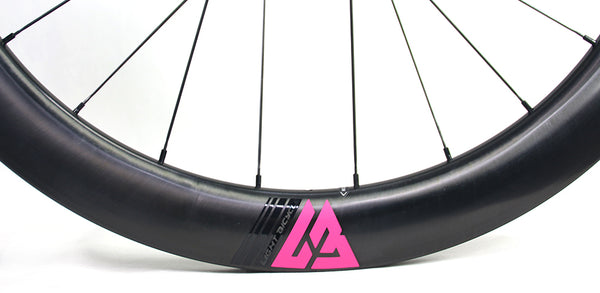 Light Bicycle - Falcon PRO AR55 (Flyweight) Wheelset – Elite Custom SG