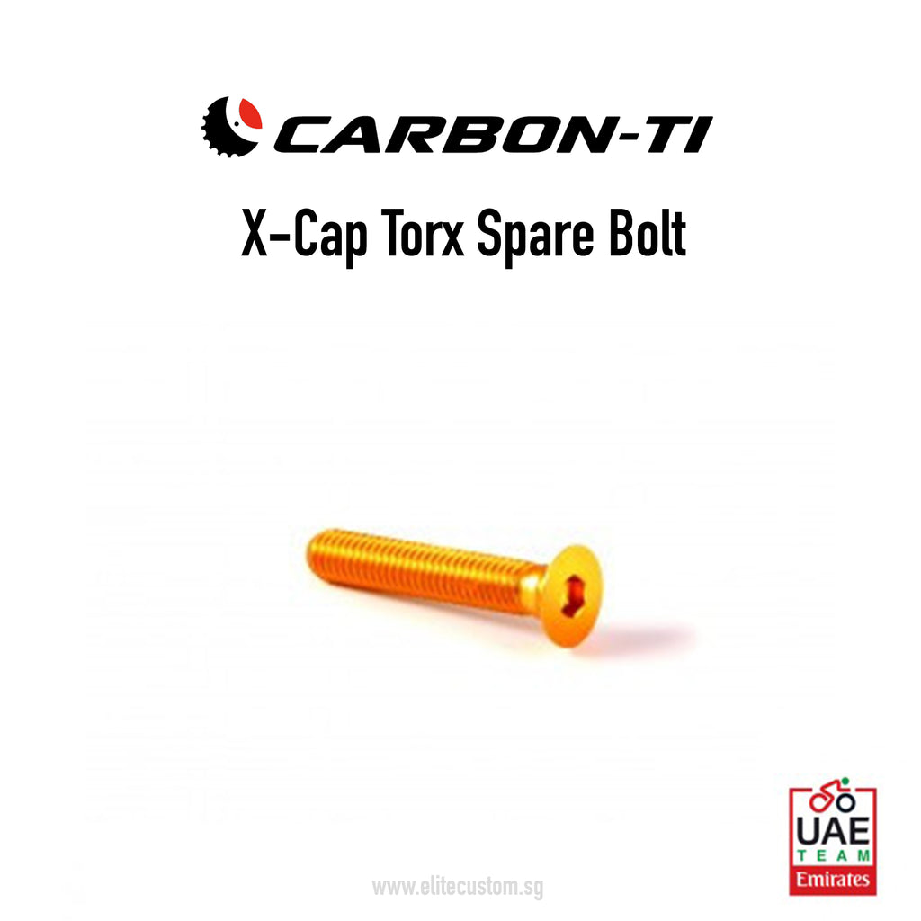 X-Cap Torx Spare Bolt